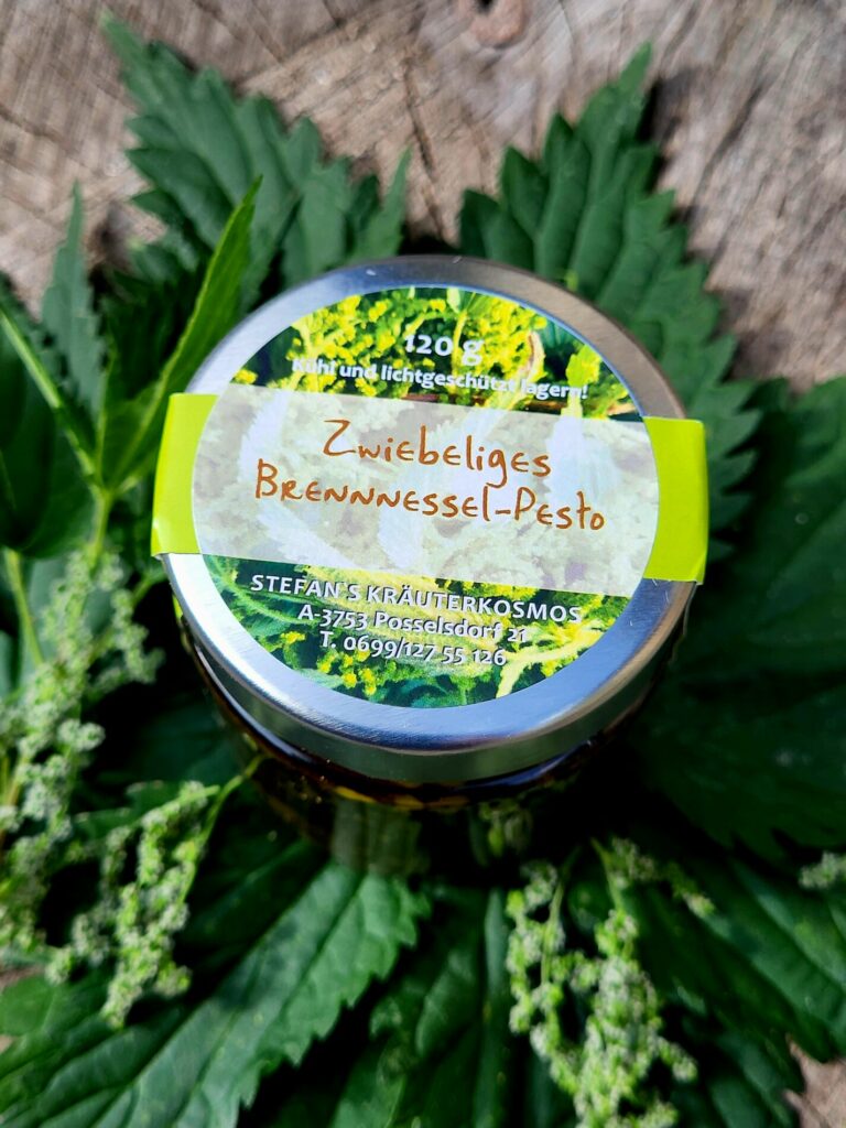 Zwiebeliges Brennnessel Pesto