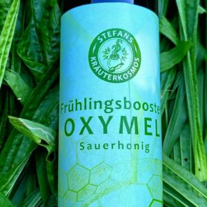 Frühlings Booster Oxymel