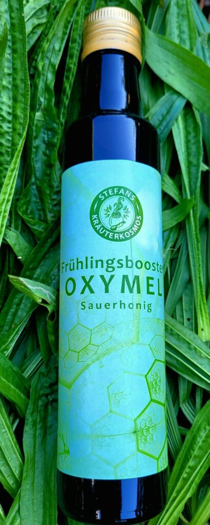 Frühlings Booster Oxymel