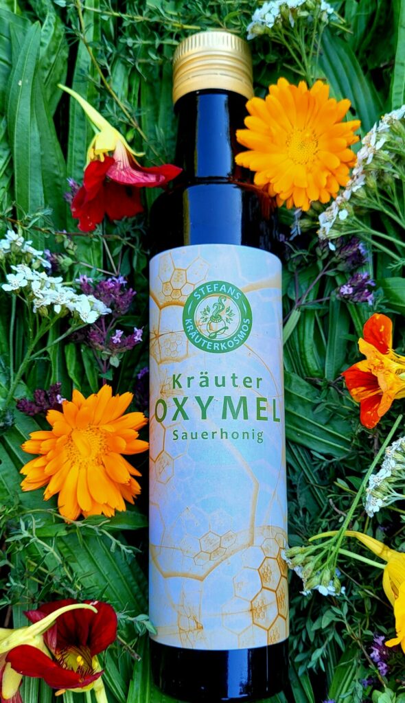 Kräuter Oxymel