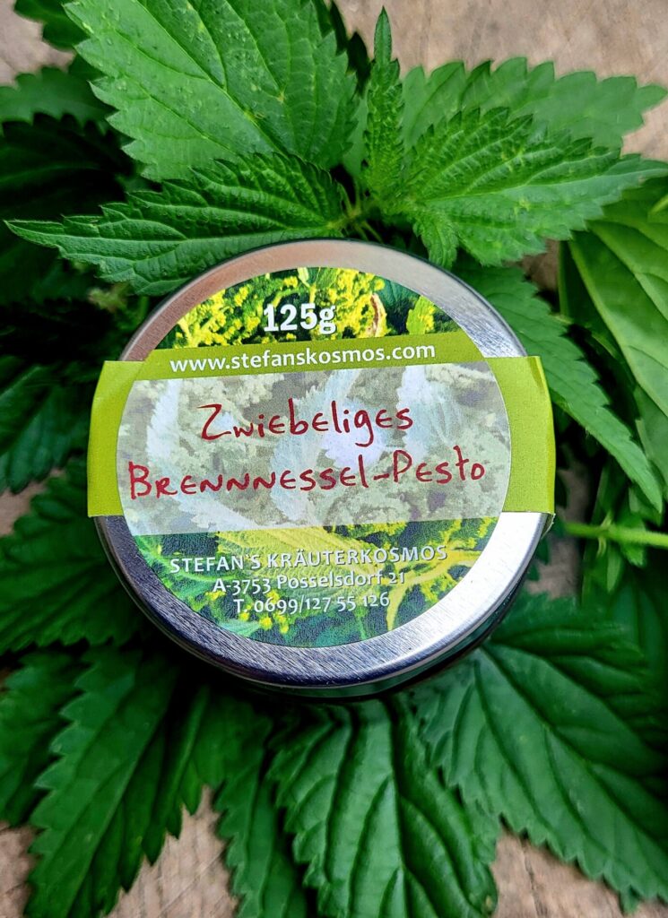 Zwiebeliges Brennnessel Pesto